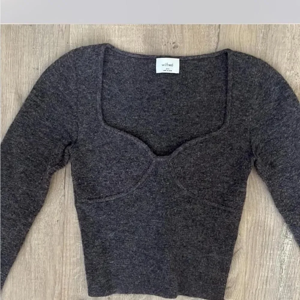 Aritzia Dark Gray Long Sleeve Crop Top